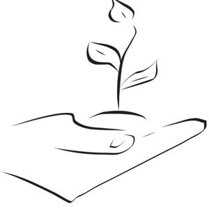 PR 珍珠 (英-汉）