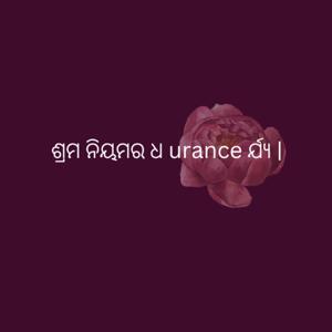 ଶ୍ରମ ନିୟମର ଧ urance ର୍ଯ୍ୟ | - Odia (EOLL)