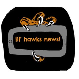 Little Hawks News