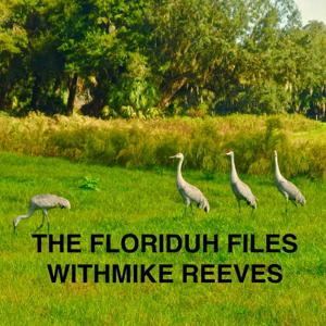 The Florida Files with Mike Reeves