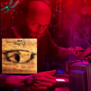 DJ SkogRå Mixes & Songs
