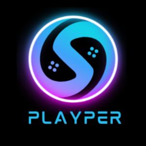 PlayerPerspective ( PlayPer)