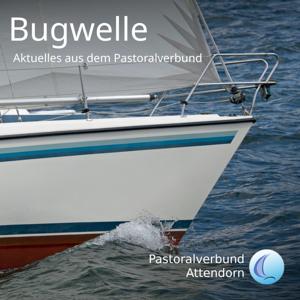 Bugwelle