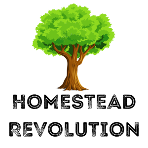 The Homestead Revolution - Building a Sustainable Future