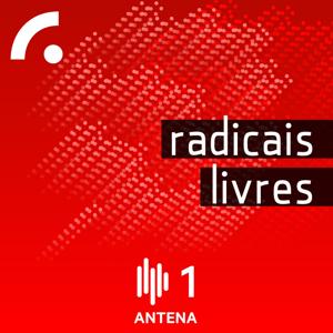 Radicais Livres (1ª Série)