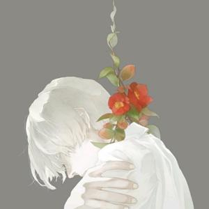 《觅·渺渺》