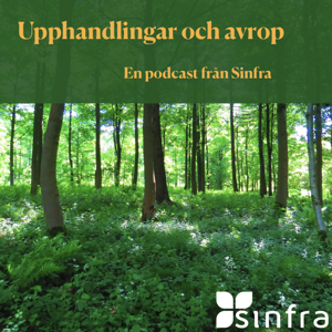 Upphandlingar och avrop – en podcast från Sinfra