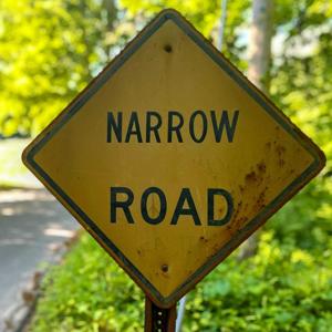 The Narrow Road