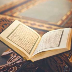 تلاوات الشيخ سعيد محمد نور