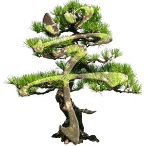 АРС - Новости для китаистов