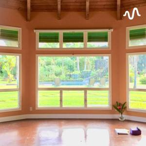 Welcome to maii Home🌱