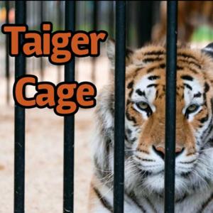 TAIGER CAGE: Talking About Racism