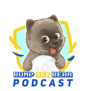Bump Set Bear