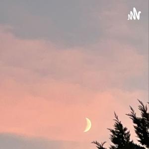 conversations with a gemini