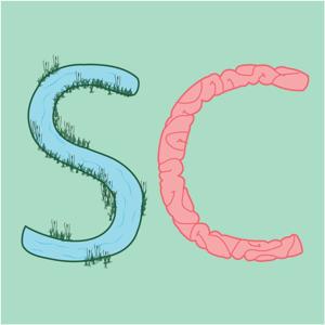 Stream of Conciousness