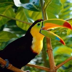 Caraibi, Centro e Sud America: dove vorrei andare e perché