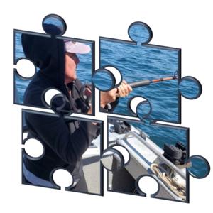 Solving the Obesity Medicine Puzzle