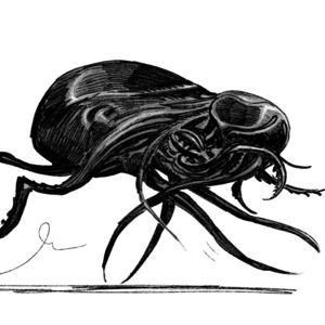 Tärningen är slaktad