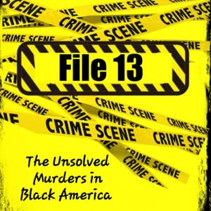 File 13