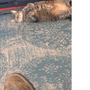 Real world struggles