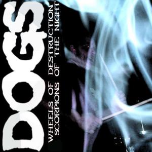 Scorpions of the Night