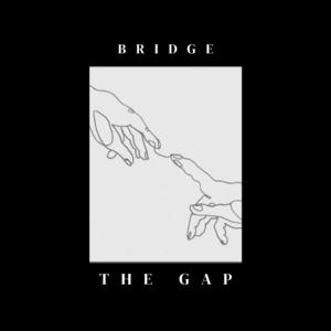 Bridge the Gap