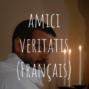 amici veritatis (Français)
