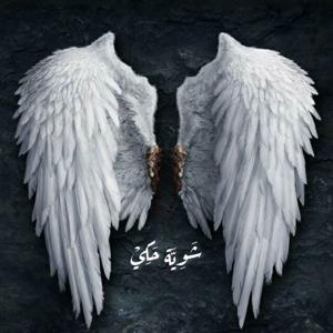 شُوِيَّة حَكِيْ