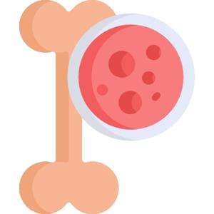 Traumatologia Y Ortopedia