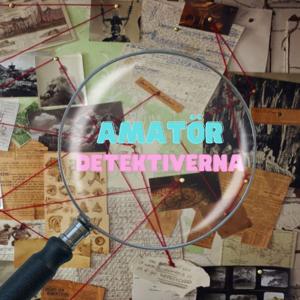 Amatör Detektiverna