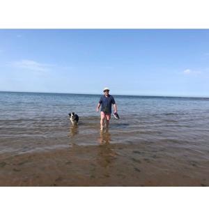 Walking Into Wisdom - Reflections of a Buddhist Dog Walker