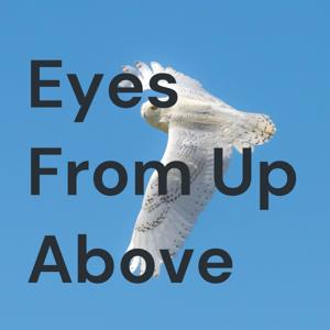 Eyes From Up Above
