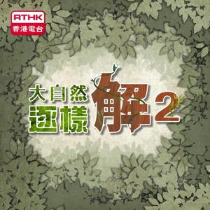 大自然逐樣解2