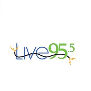 Cullman's Live 95.5 - The Elephant In The Room