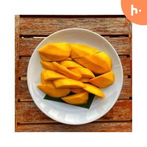 Meyer Jr Richard L MD