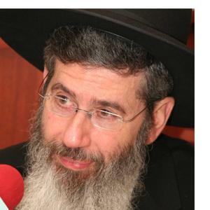 Zera Shimshon-Rabbi Dovid Goldwasser