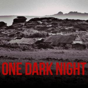 ONE DARK NIGHT