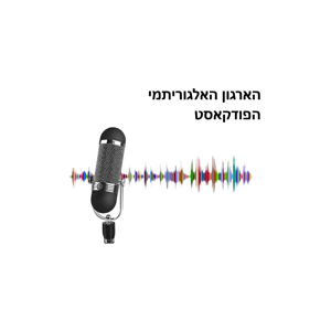 הארגון האלגוריתמי
