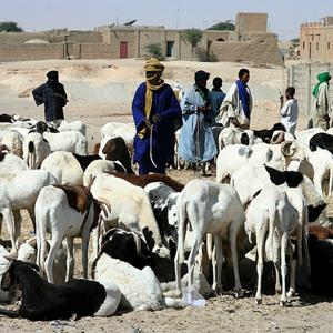 L'alliance de grâce dans la lignée d'Abraham