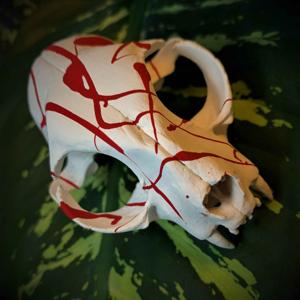 Cherry's Edmonton True Crime