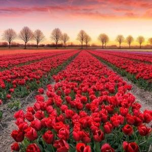 évangile selon Matthieu