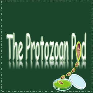 The Protozoan Pod