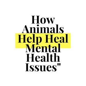 How Animals Help Heal Mental Health Issues?