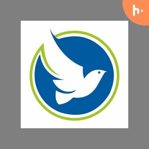 BluebirdSolar