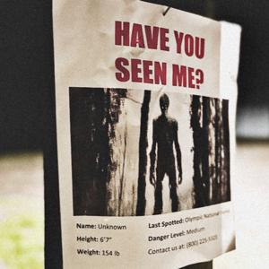 Have You Seen Me?