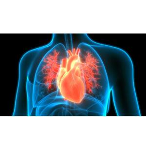 Podcast Capstone Project