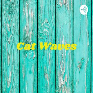 Cat Waves: Welcome to the World of Cat Kabira