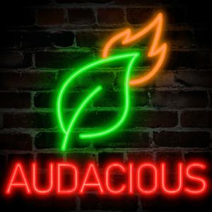 The Audacious Podcast with Talon Bolme