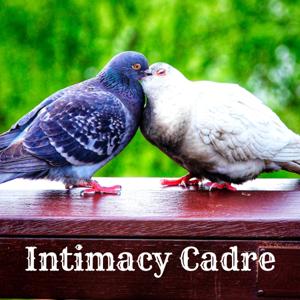 Intimacy Cadre Podcast