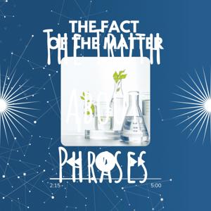 The Truth About Phrases